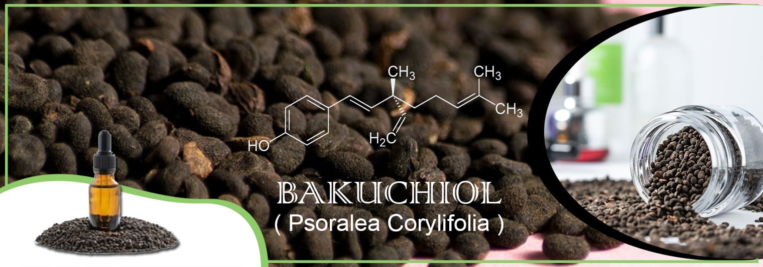 Mahaveer Herbal's Manufacturers & Exporters