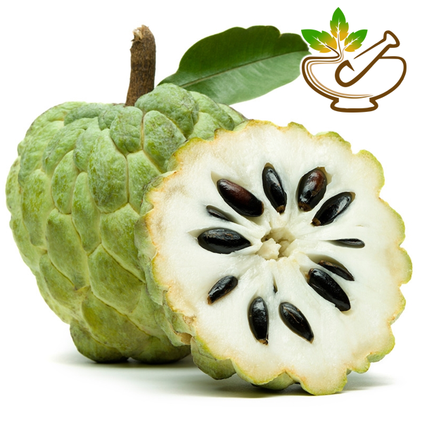 Sitaphal Seed Oil (Custard Apple Seed Oil)