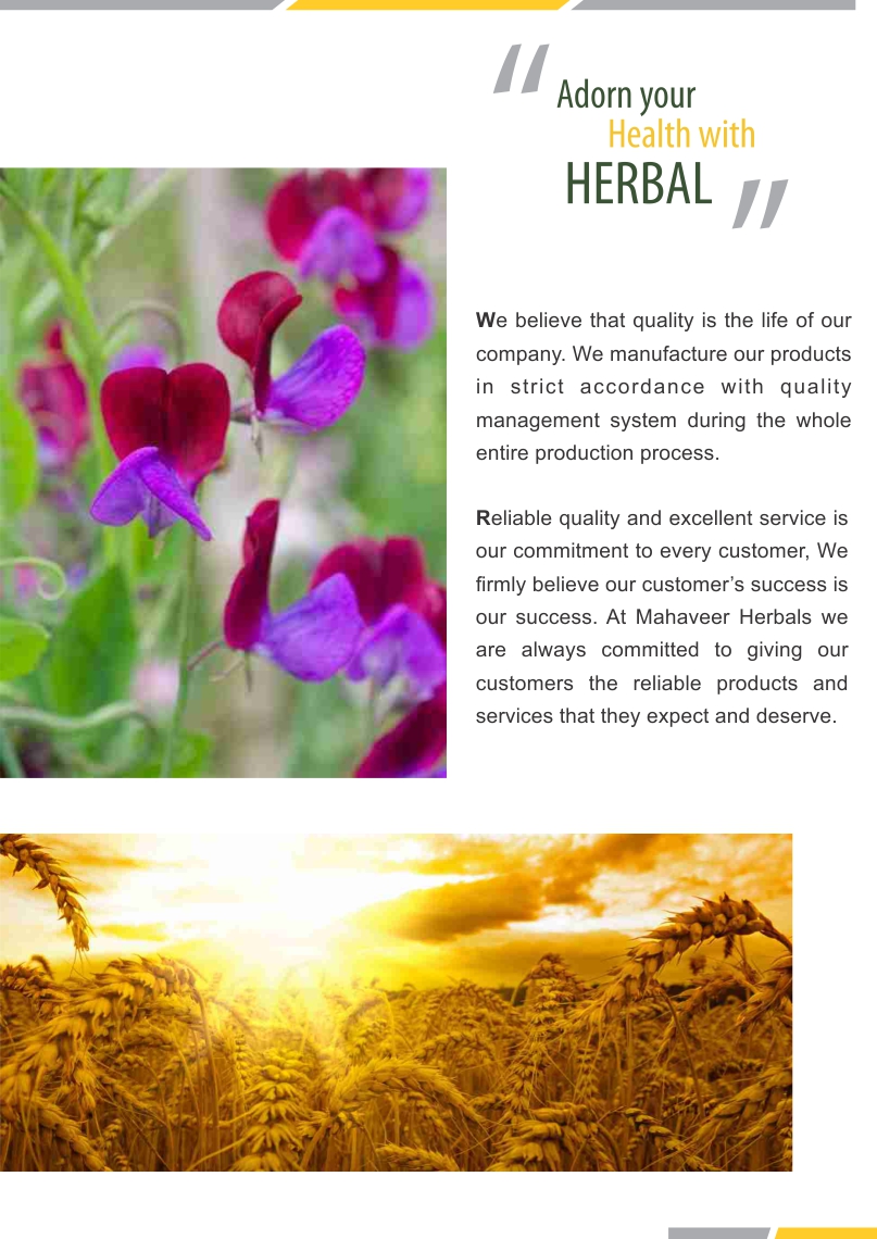 Herbal Extract Page 03